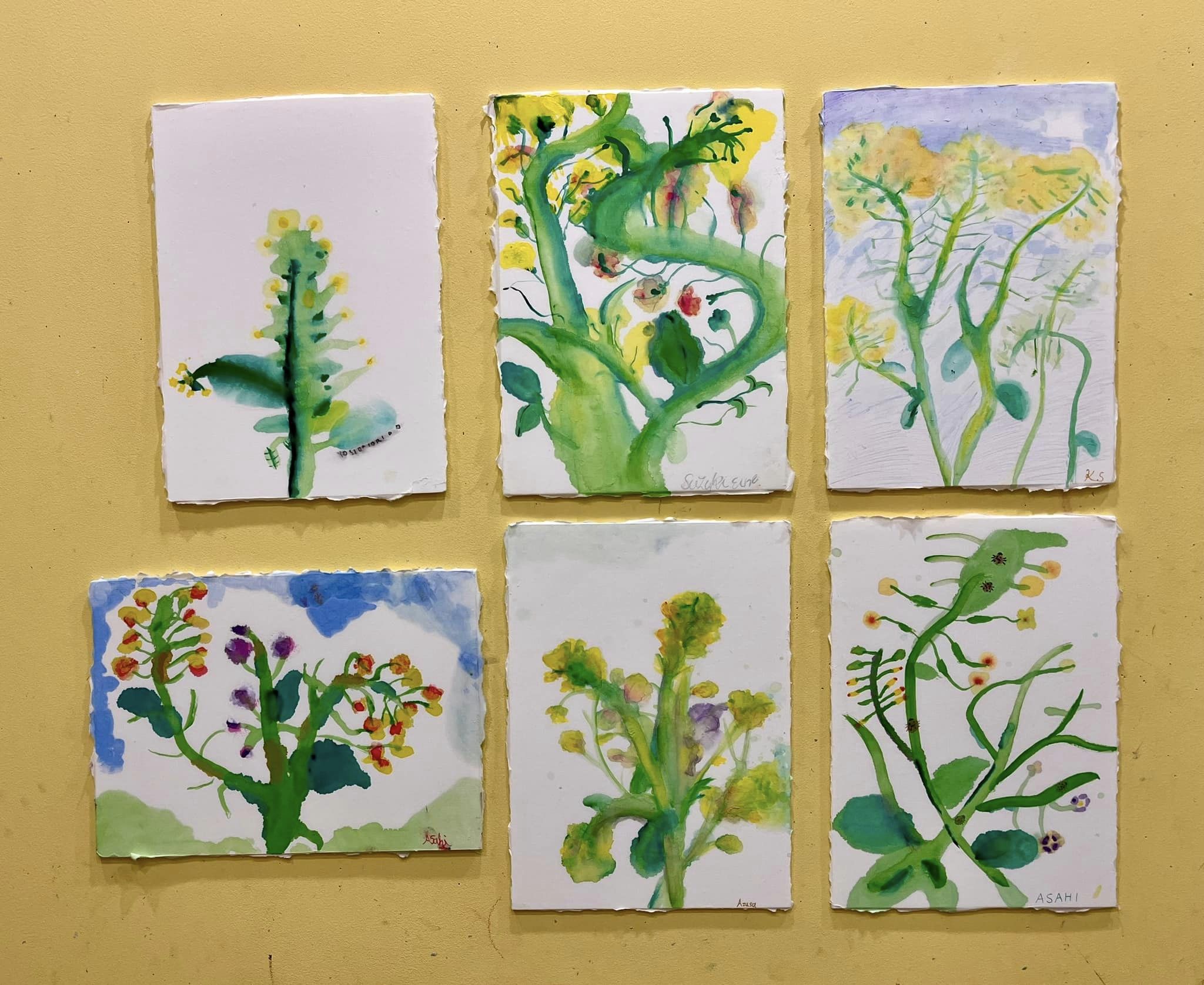 菜の花を描く （高学年クラス・アートクラス・ゆっくりクラス
