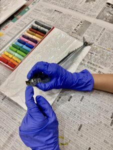 ●464374628_8597038753713460_8521780023384034270_n