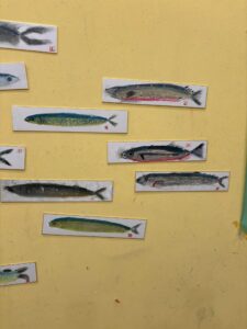 ●464135178_8597040750379927_9100436473620013178_n