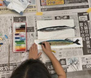 464416099_8615049435245725_6933935638382320968_n