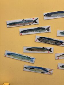 ●464151922_8597040553713280_6612252719809201098_n