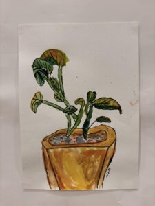 464477435_1105789167724868_6006060253188727200_n