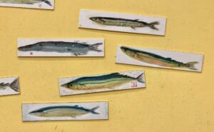 464521416_1105937754376676_7159966743401431848_n